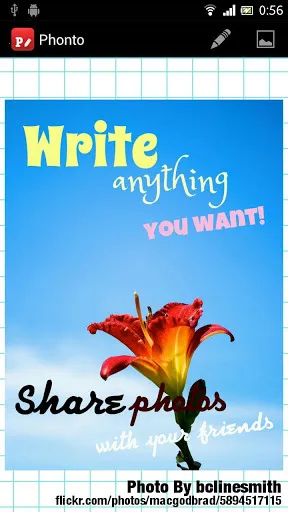 Phonto2026���°汾v1.7.113 �ٷ������ͼ