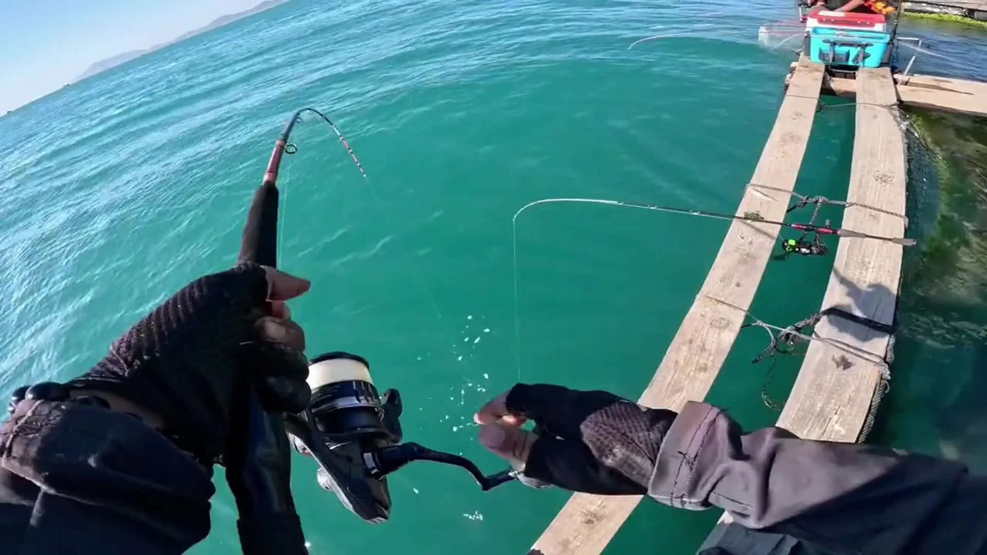 �����ʦ��