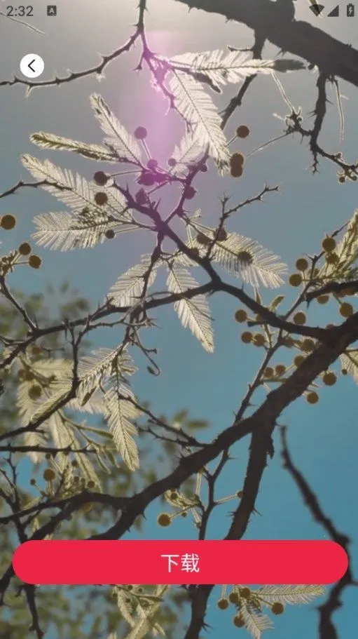 tibni��׿v1.0.0 �ٷ������ͼ