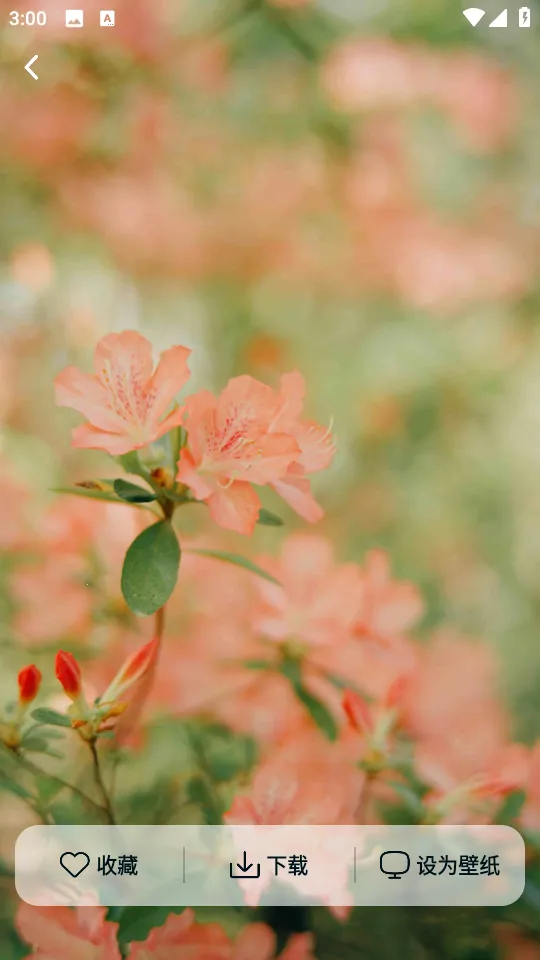 Ծ����ֽ(��ֽ����)v1.6.0 ��׿���ͼ