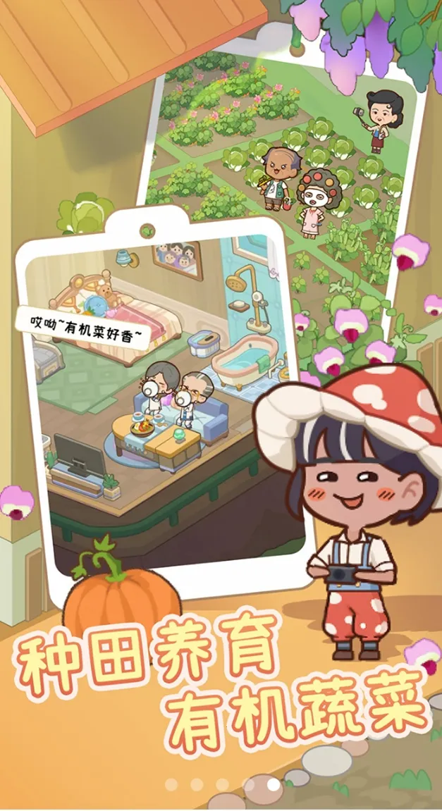 ����Ժģ���������ƽ��v1.0.1 ��Ѱ��ͼ