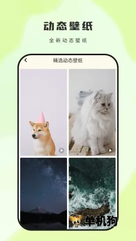 ��ͼ��ֽ�����ֻ���