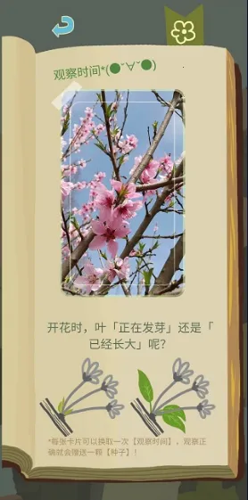 老农种树星座冬季2026官方正版 老农种树星座冬季2026官方正版