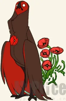 ����ɴ����ذ�װ