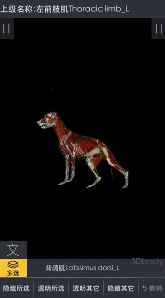 3dbody宠物app免费下载 3dbody宠物app免费下载