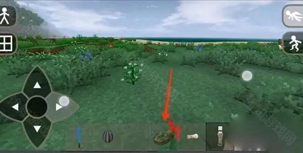 生存战争野人岛联机版 生存战争野人岛联机版