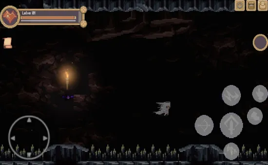 �ֶ�(ð����Ϸ�淨)