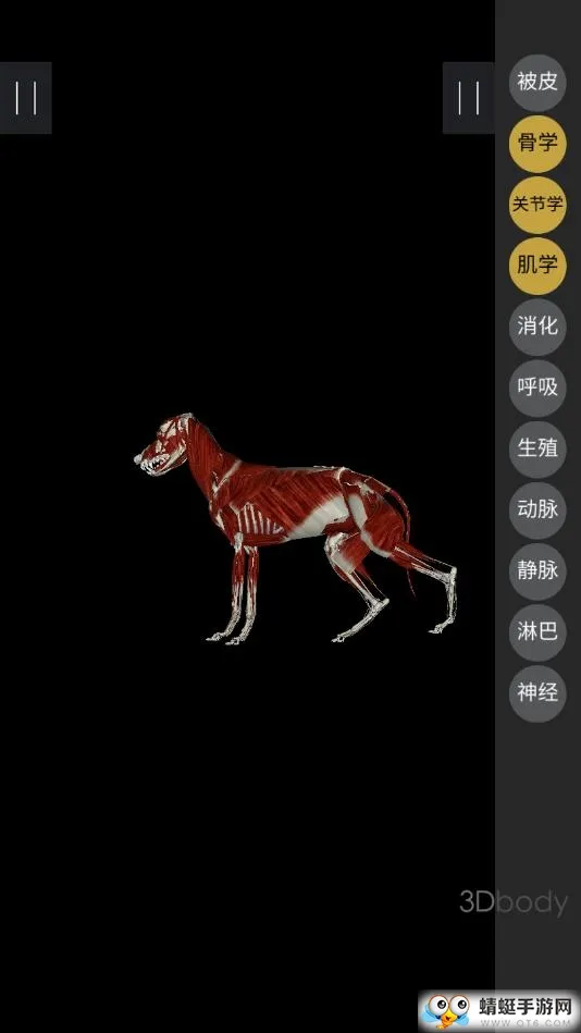 3dbody��������v8.8.72 ��Ѱ��ͼ