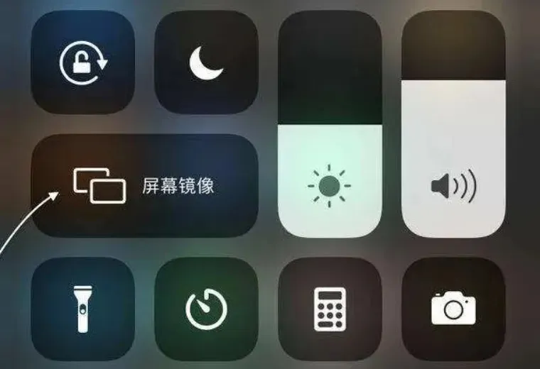 �ҵĵ���tv��