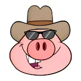 �˽�������2026���°汾v1.0.0 �ֻ���