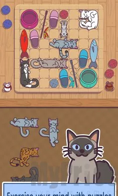 ���׶������ֻ���