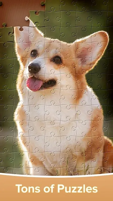 ƴͼ��Ϸ�󴳹�2026���°汾v4.4.16 �ٷ������ͼ