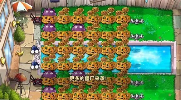 ֲ�����ս��ʬׯ��������