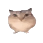 �ͰͲ�һ(δ�ἰ���Ĺ��ܵ㣬�޷�������)v1.0 �ֻ���