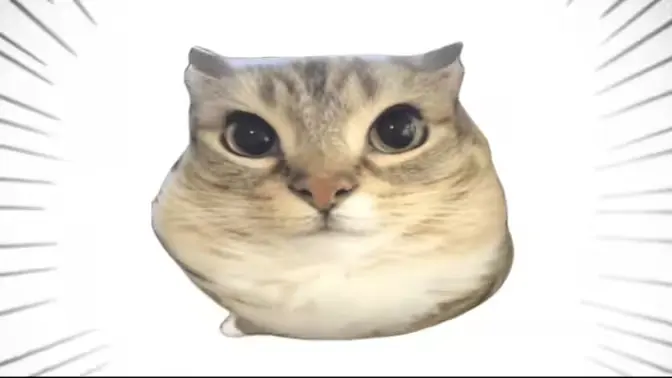 �ͰͲ�һ(δ�ἰ���Ĺ��ܵ㣬�޷�������)v1.0 �ֻ����ͼ
