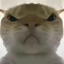 �������ж����󹤾�(�������ж�����)v1.0 ��׿��