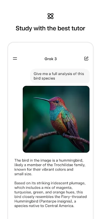 Grok42026�ٷ�����v1.1.38-release.31-release.14-release.01-release.05 ��Ѱ��ͼ