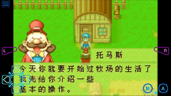 ���������ʯ��Ļ����2013������(������Ӫ��Ϸ)v2.0.0 �ٷ������ͼ