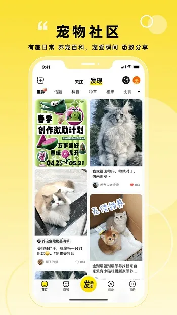 ������(�������ƽ̨)