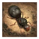 The Ants2026�ٷ����°汾v3.87.0 ��׿��