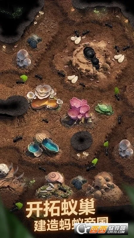 The Ants2026�ٷ����°汾v3.87.0 ��׿���ͼ