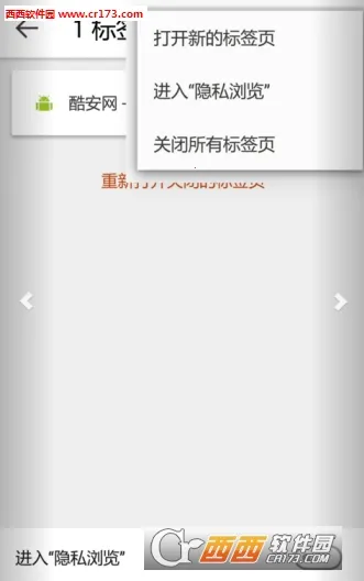 Silk�����(�ֻ������)v51.3.4.2704.81.10 �ٷ������ͼ