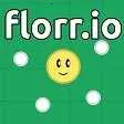 florr.io��Ϸ2026�ٷ�����v1.1.2 �ٷ�����