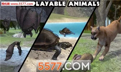 ForestSim(ɭ��ģ����Ϸ)v1.2 ��Ѱ��ͼ