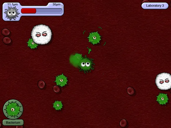 ��ζ���������