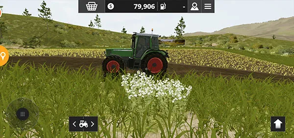 ģ��ũ��20�й�����