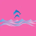 �涯���(��Ƭ��������)v1.0.0 ��Ѱ�