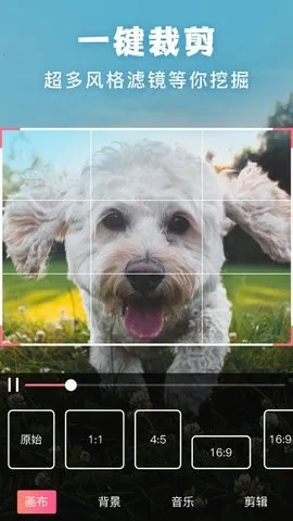 ����picsart��Ƭ�༭(��Ƭ�༭����)v19.8.63 ��׿���ͼ