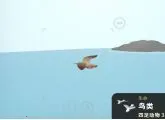 ϸ�����(ϸ��������Ϸ)