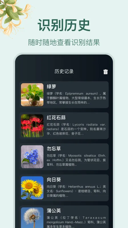 С԰���ٷ���������v1.4 ��׿���ͼ