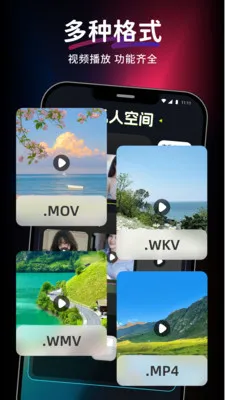 ������Ƶ��Ѳ�����(������Ƶ������)v1.0.0 ��׿���ͼ