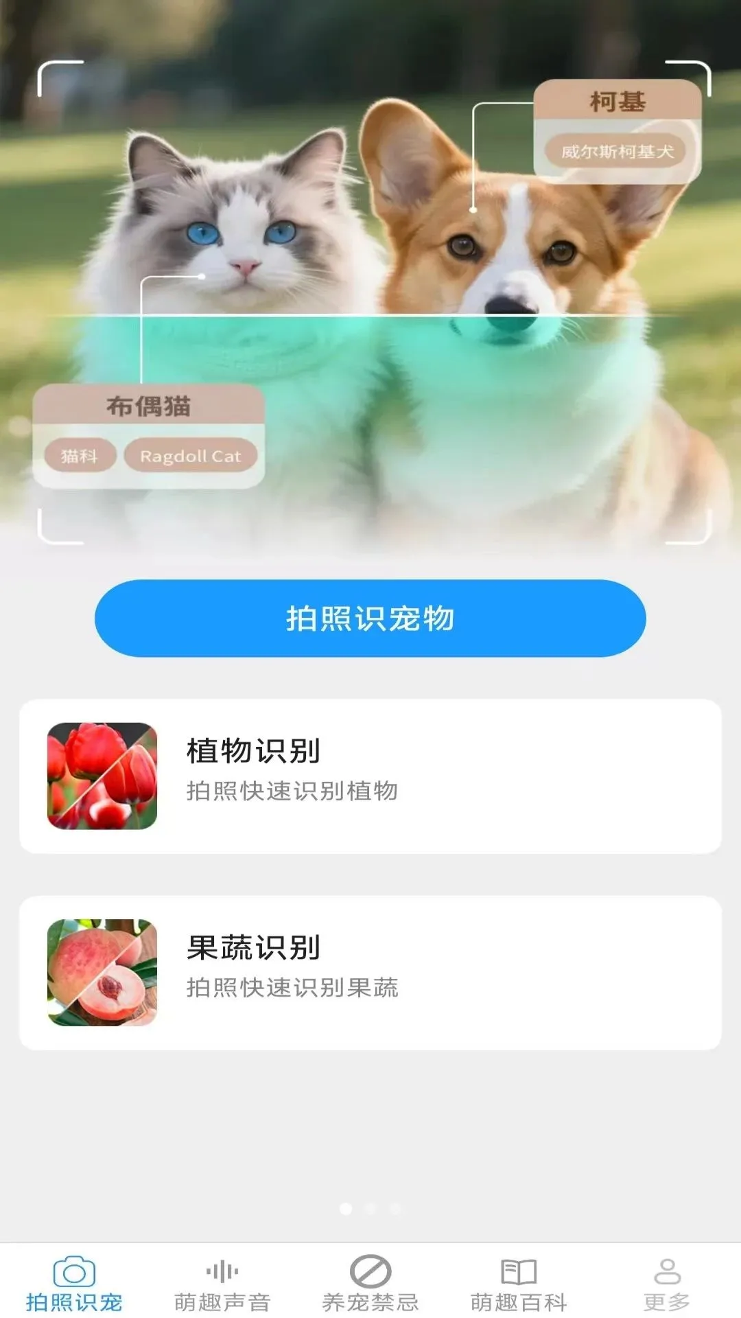 Ԫ������(��������Ӧ��)v2.6.6.3 �ֻ����ͼ