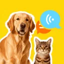 �ȳ�è����ѷ���2026�ٷ����°汾v1.0.2 �ֻ���