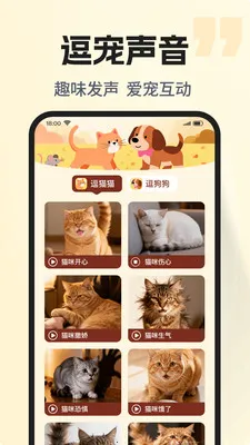 �ȳ�è����ѷ���2026�ٷ����°汾v1.0.2 �ֻ����ͼ