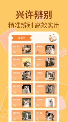 è�����﷭����2026���ذ�װv1.0.2 ��׿���ͼ