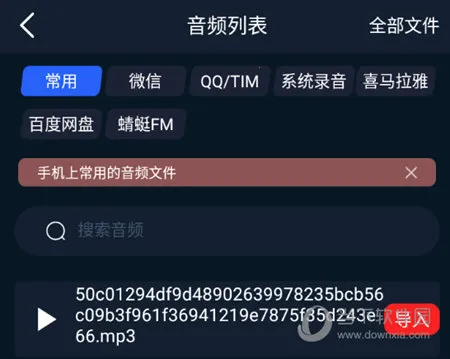 ¼��ȫ����(¼��ת��������)