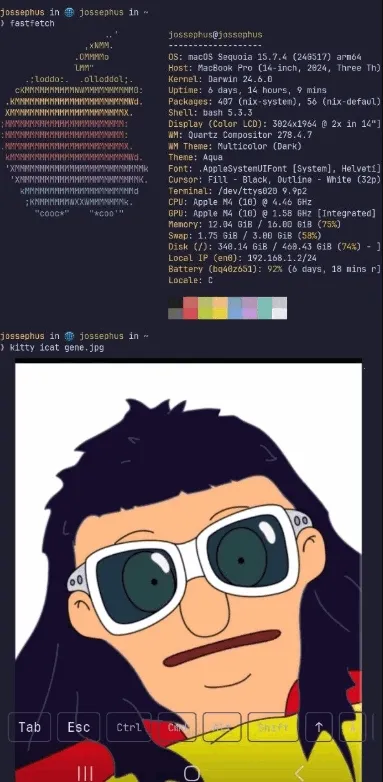 chuchu2026�ٷ����°汾v1.0 �ֻ����ͼ