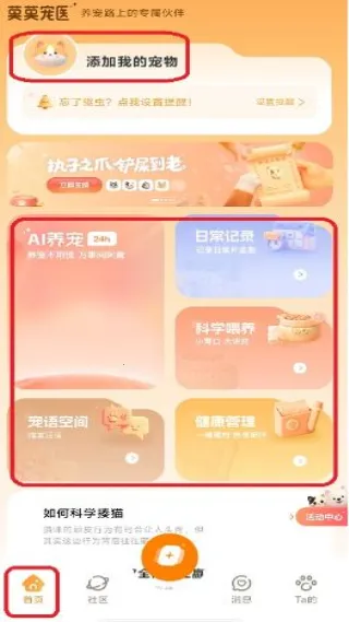 ĪĪ��ҽ2026���°汾