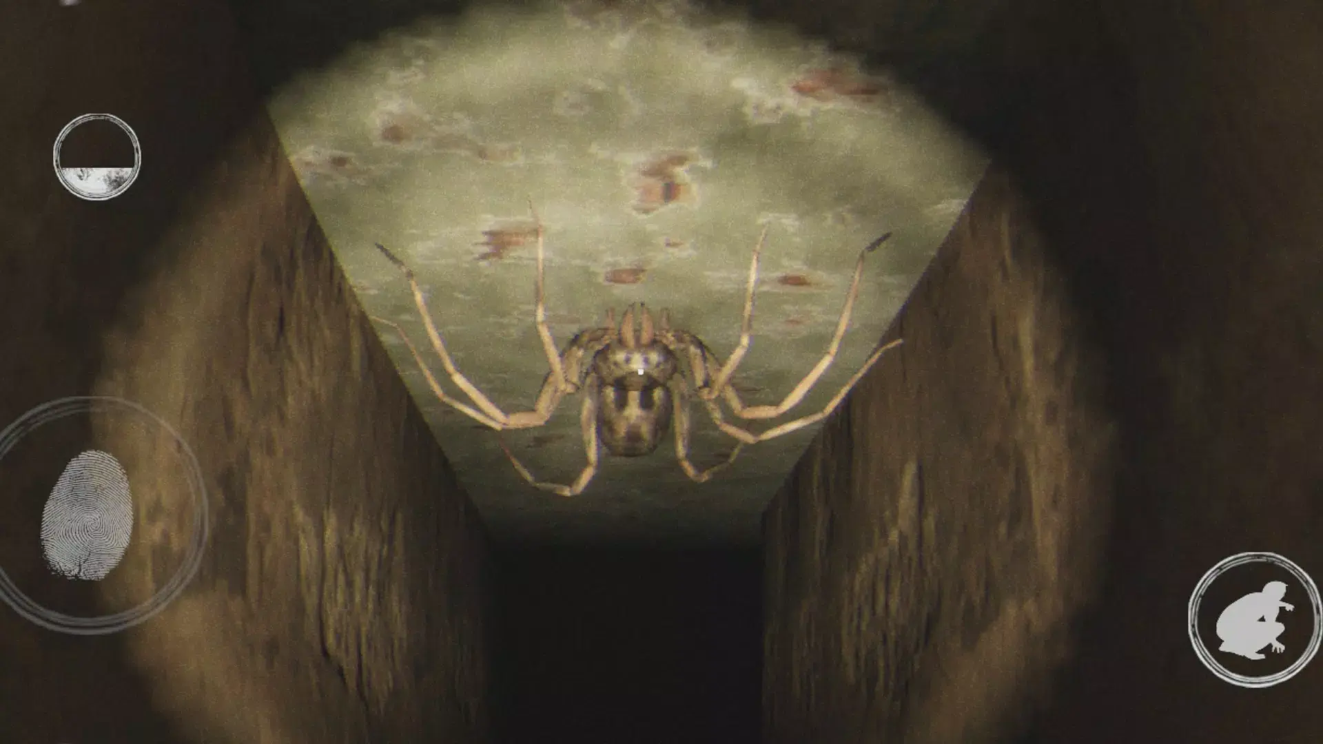 ����ʵ��ֲ���Ϸȥ���(���ҿֲ���Ϸ����)v1.4 �ֻ����ͼ