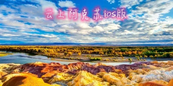 ���ϰ����հ�׿���ֻ���