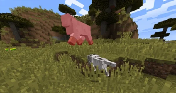 CAT�Ƽ�2026���ذ�װv1.0 �ٷ������ͼ