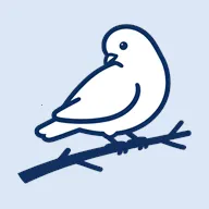 BB�ռ������Bվ(bbspace2026�ٷ����°汾v1.4.9 �ٷ�����