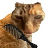 ��è��ë2026�ٷ����°汾v1.0 ��Ѱ�