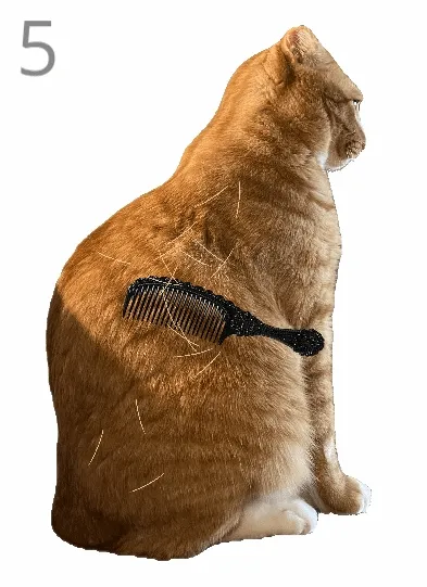 ��è��ë2026�ٷ����°汾