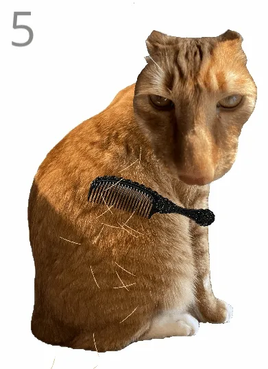 ��è��ë2026�ٷ����°汾