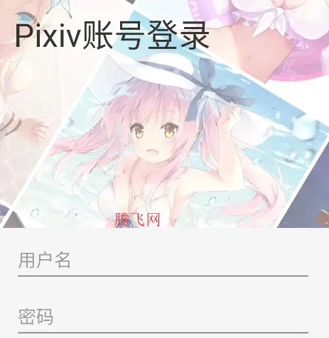 pivisionM2026���ذ�װ